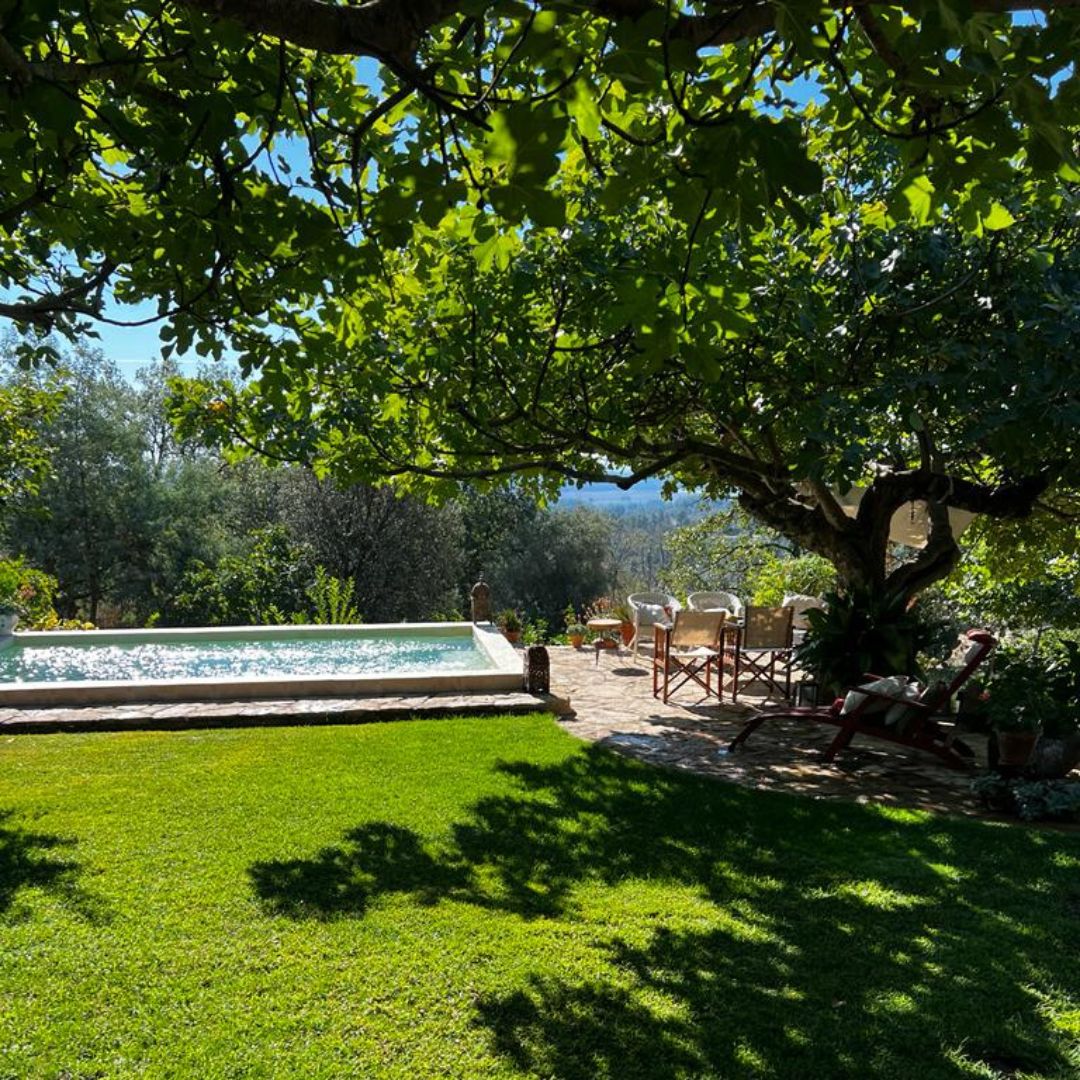 Piscina en jardin